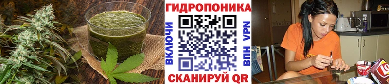 Canna-Cookies конопля  кракен tor  Курчатов  где купить  