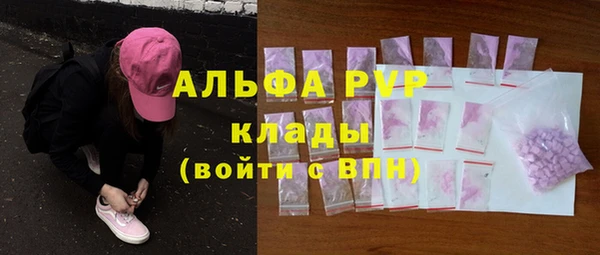 прущие грибы Костерёво