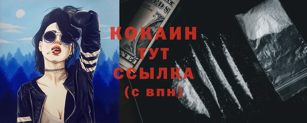 молекула духа Козловка