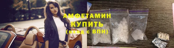 молекула духа Козловка