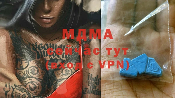 молекула духа Козловка