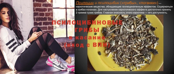 молекула духа Козловка