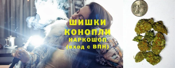 молекула духа Козловка