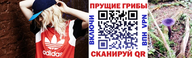 Псилоцибиновые грибы GOLDEN TEACHER  Курчатов 